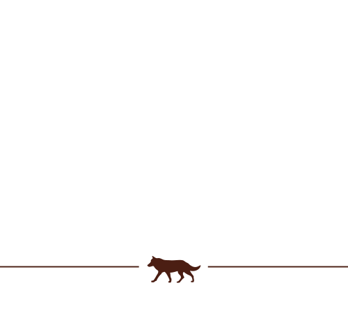 Farkas & Manthei | Friseure